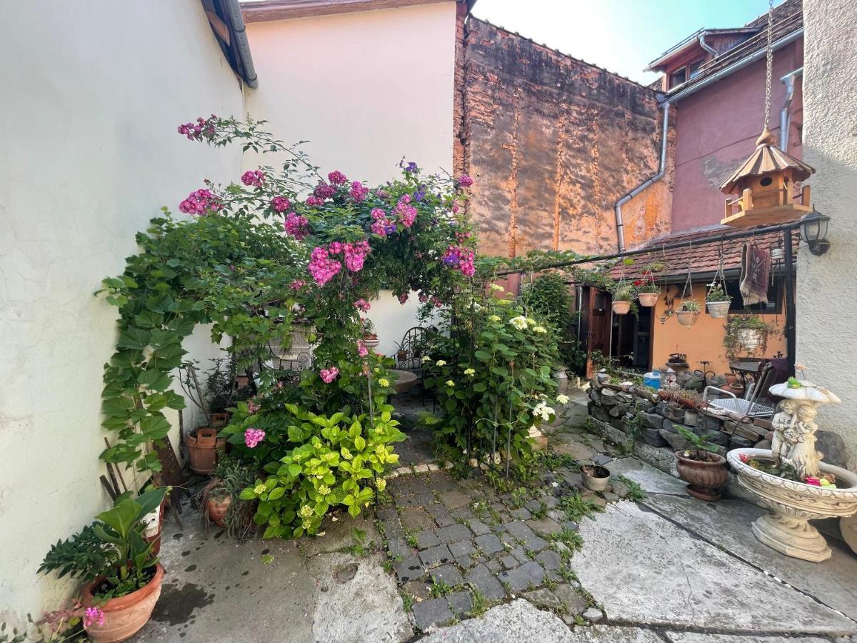 Casa Morar Apartment Sighisoara Bagian luar foto